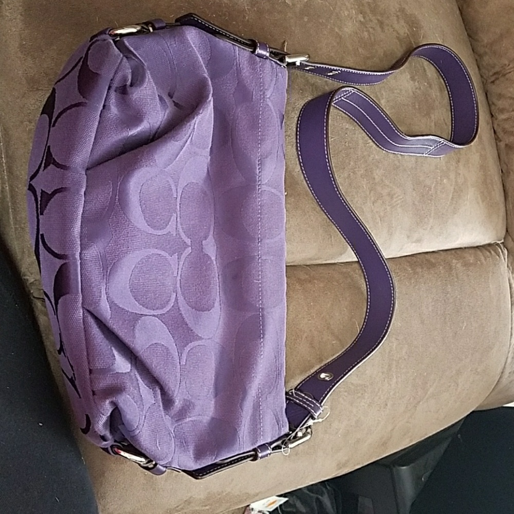 Coach Small Purple Hobo Bag